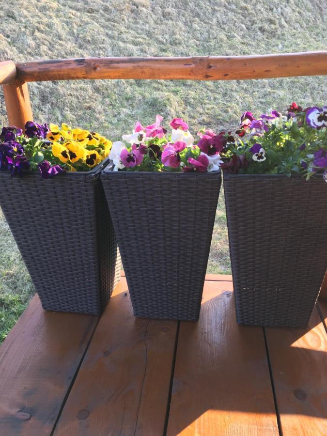 Villa Domeniul Horj Casa Din Cires Moisei Esterno foto