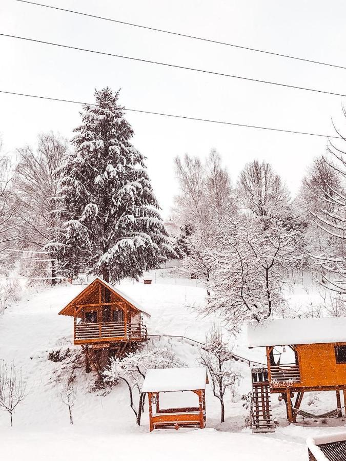 Villa Domeniul Horj Casa Din Cires Moisei Esterno foto