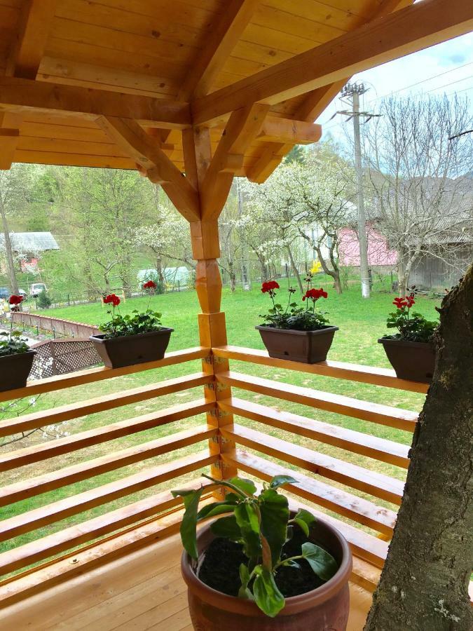 Villa Domeniul Horj Casa Din Cires Moisei Esterno foto