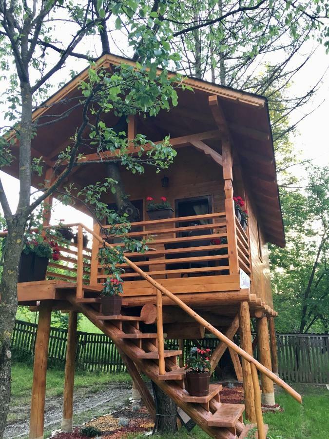 Villa Domeniul Horj Casa Din Cires Moisei Esterno foto